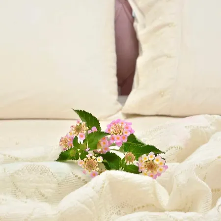 Sweet Luxury House * Alepou